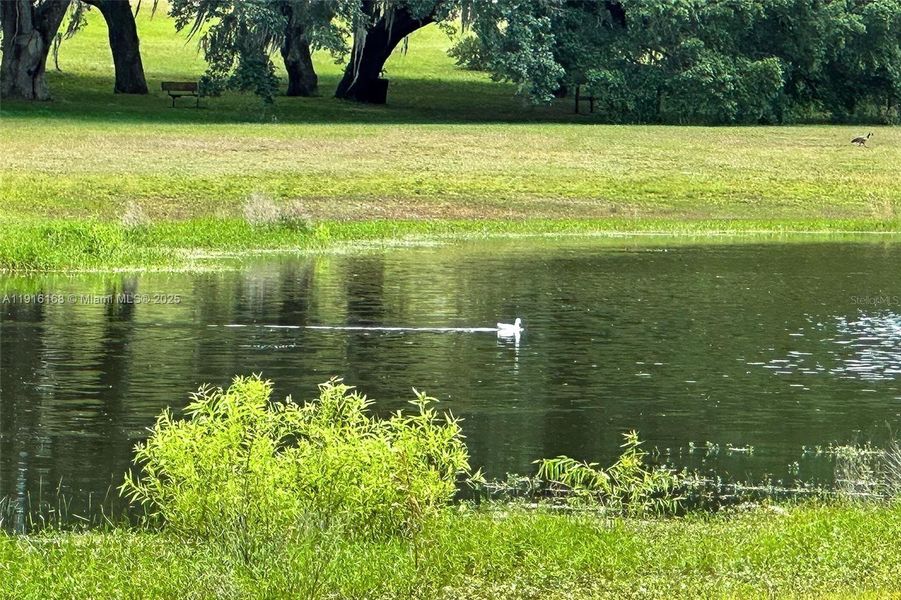 Natural landscape and outdoor views near  in Dunnellon (Image 28).