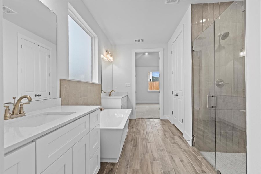 Bathroom with vanity and separate shower and tub