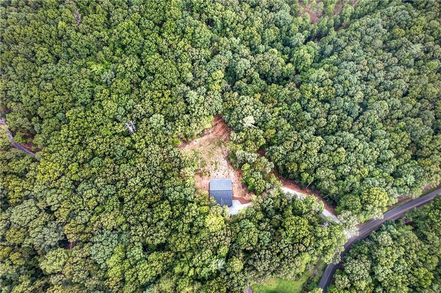 Natural landscape and outdoor views near  in Ellijay (Image 52).