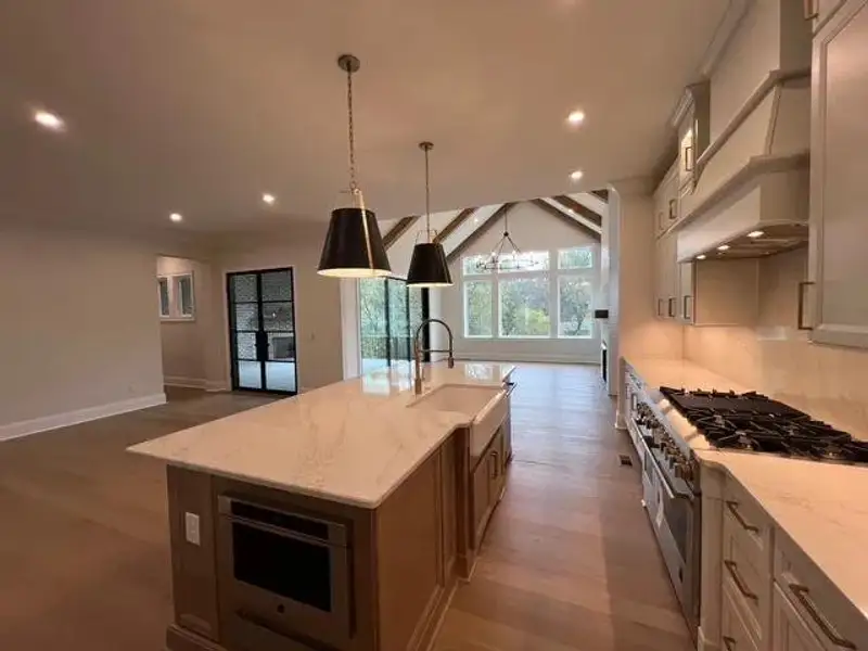 The Belterra D Kitchen The Belterra D Kitchen