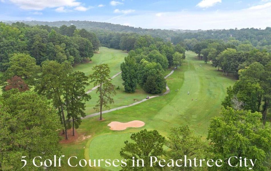 Image 53 of a home in Laurel Brooke.