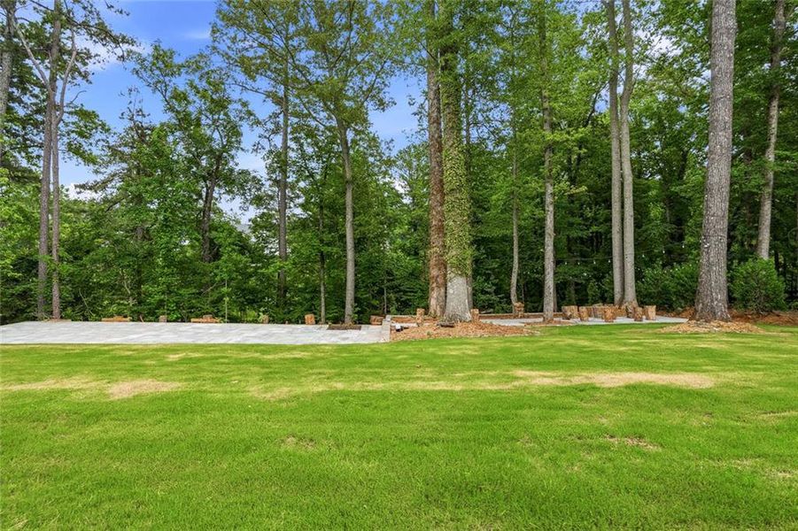 Natural landscape and outdoor views near  in Cumming (Image 41).