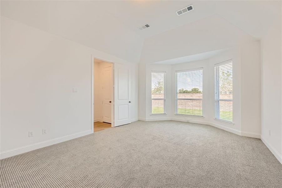 Spare room with carpet flooring and lofted ceiling