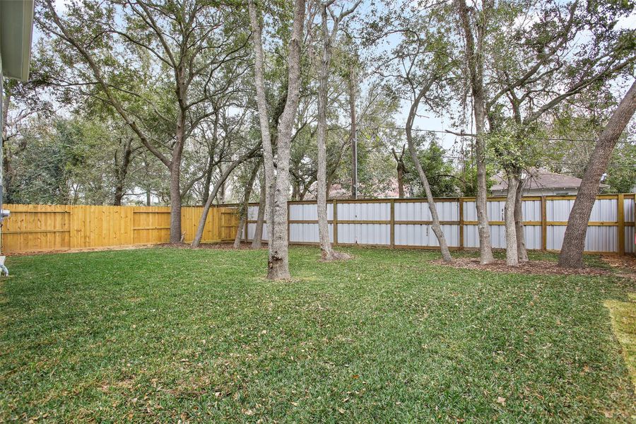 Backyard