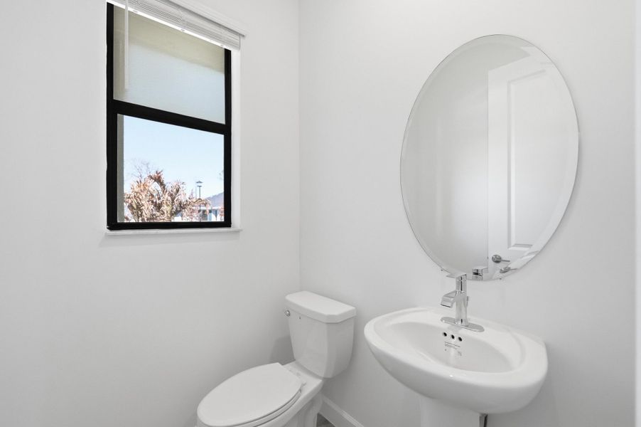 45-DSC5401_autoremove_17476634