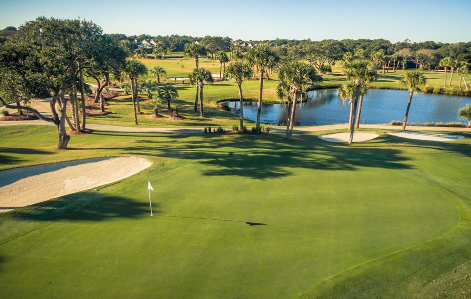 Natural landscape and outdoor views near  in Seabrook Island (Image 12).