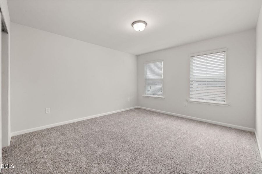 PRO HAMPTON LOT #77 PIC (21)