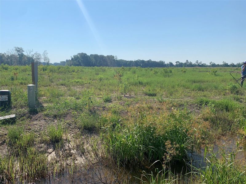 Natural landscape and outdoor views near  in Dayton (Image 3).
