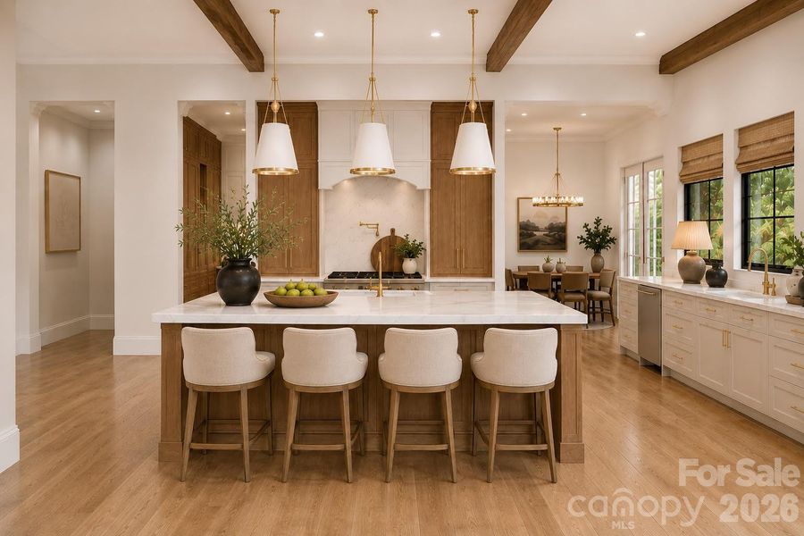 Kitchen - Conceptual Designs Render