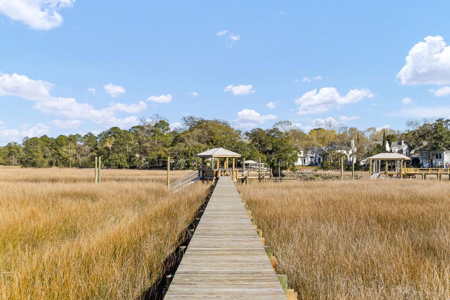 Natural landscape and outdoor views near  in Charleston (Image 119).