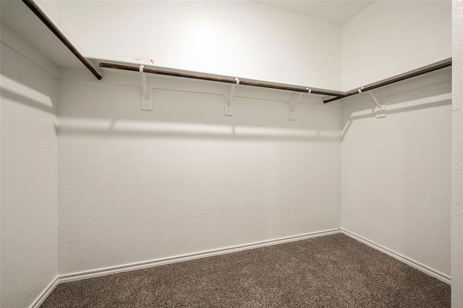 Spacious closet featuring carpet flooring