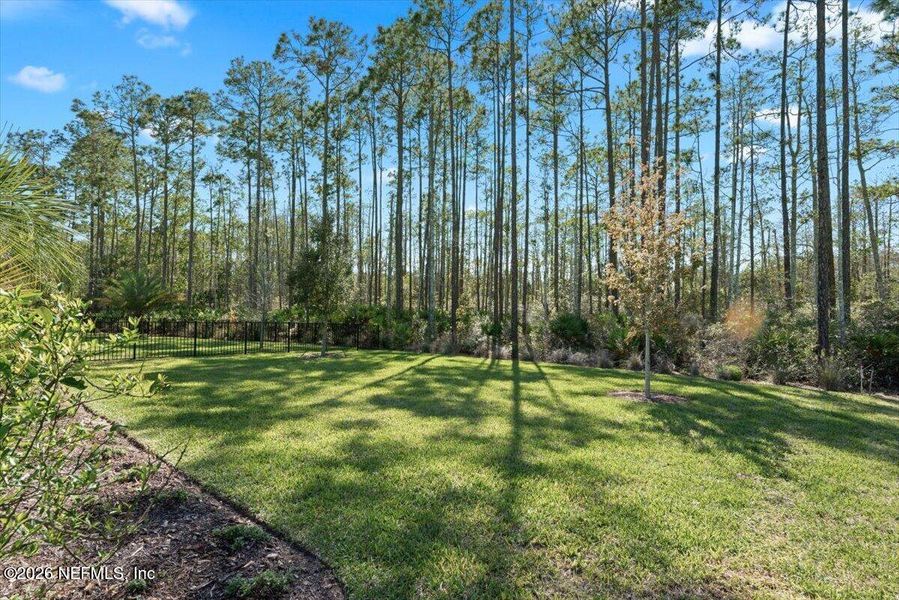 Natural landscape and outdoor views near  in Ponte Vedra (Image 49).
