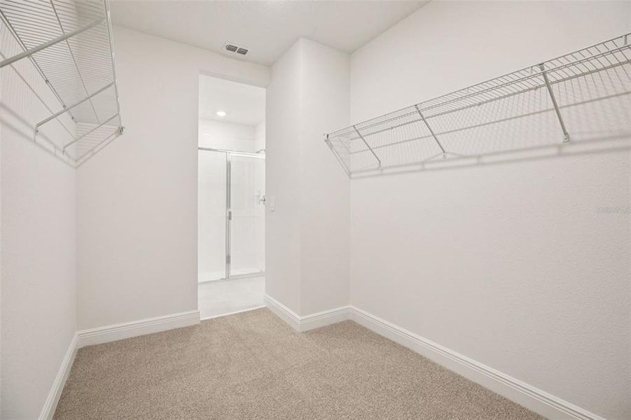 Spacious, unfurnished interior of a new home in The Reserve at Hammock Oaks - Signature Series, Lady Lake (Image 17). Spacious, unfurnished interior of a new home in The Reserve at Hammock Oaks - Signature Series, Lady Lake (Image 17).