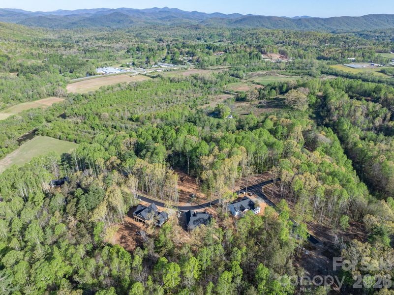 Natural landscape and outdoor views near  in Etowah (Image 26).