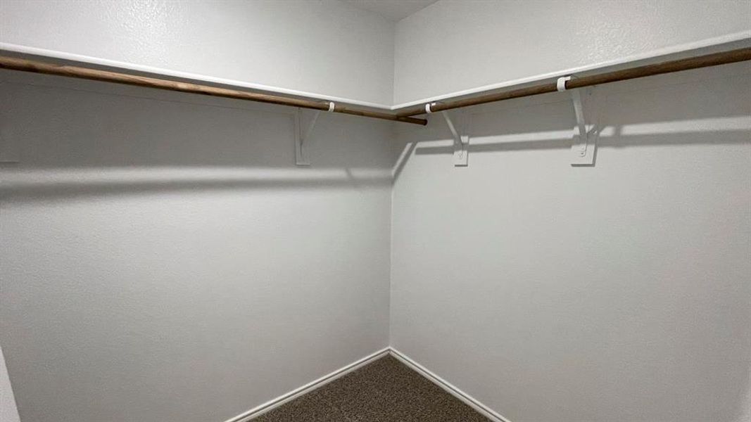 Walk-in closet featuring white walls, wood-finish hanging rods, white shelving supports, and a carpeted floor
