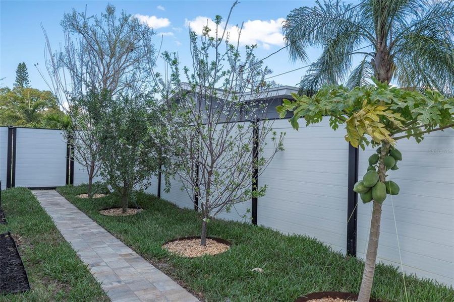 Exterior details and patio area of a home in , St. Petersburg (Image 38). Exterior details and patio area of a home in , St. Petersburg (Image 38).