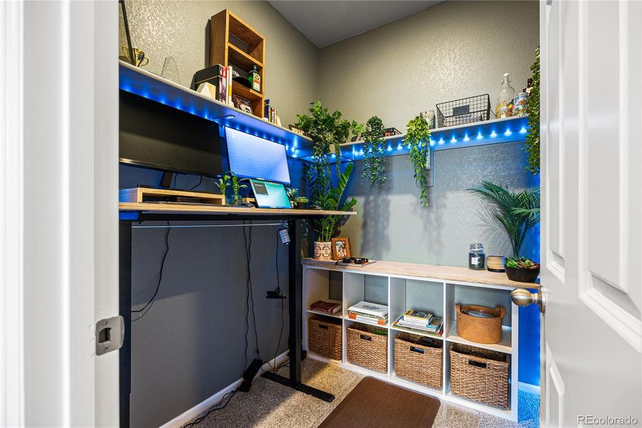 Furnished interior view inside a new home in Poudre Heights: The Alpine Collection, Windsor (Image 32).