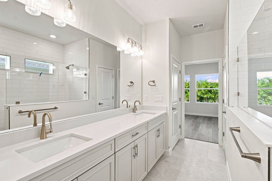 Owner's Bath