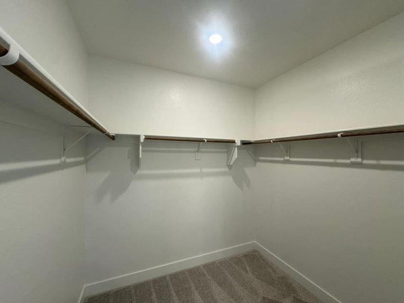 Spacious closet featuring built-in shelving, hanging rods, recessed lighting, and carpet flooring