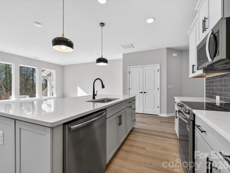 Frost cabinets with quartz countertops, soft close doors & drawers, sold shelving in pantry.
