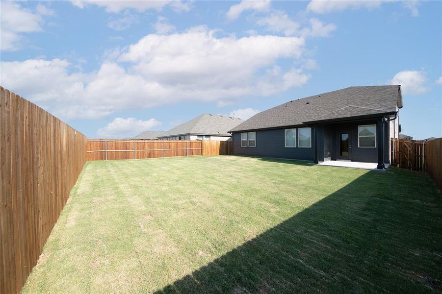 Backyard Backyard