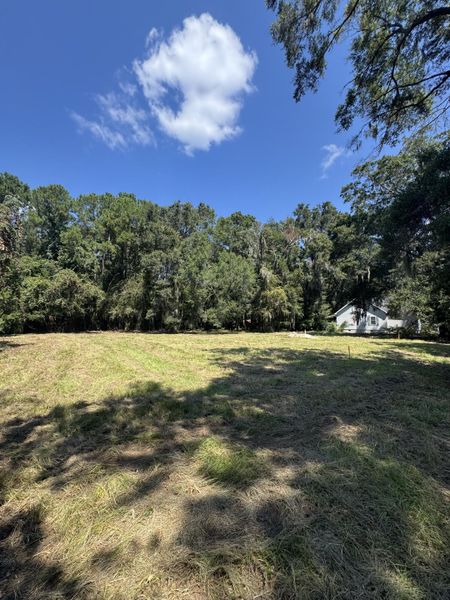 Natural landscape and outdoor views near in Johns Island (Image 48). Natural landscape and outdoor views near in Johns Island (Image 48).