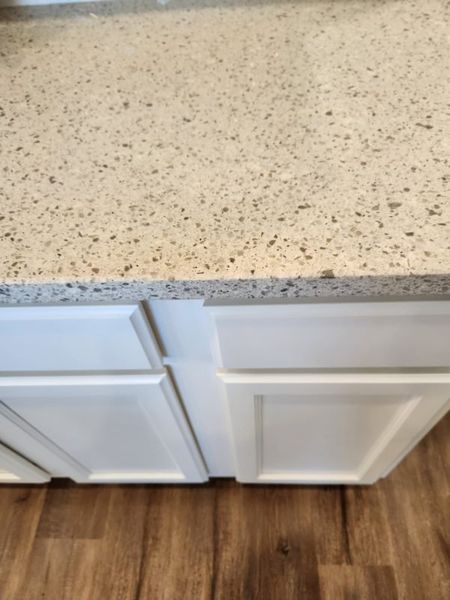 Representative interior finishes for a home built from the Waterford Townhome by Piedmont Residential in The Retreat at Browns Ridge, Newnan (Image 22).