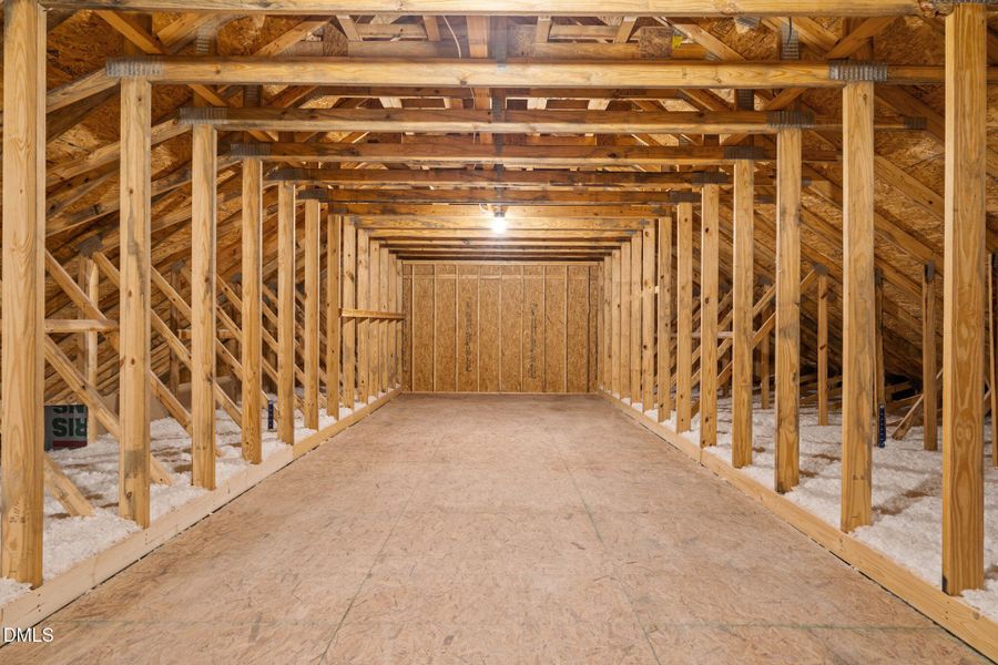 46-web-or-mls-DSC09596