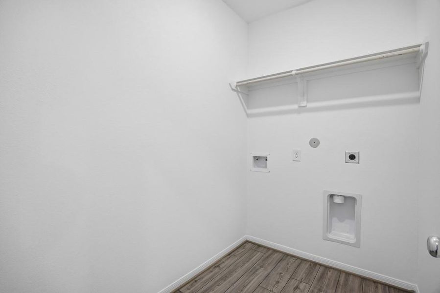 21847 Honey Scent ~ Ready Now