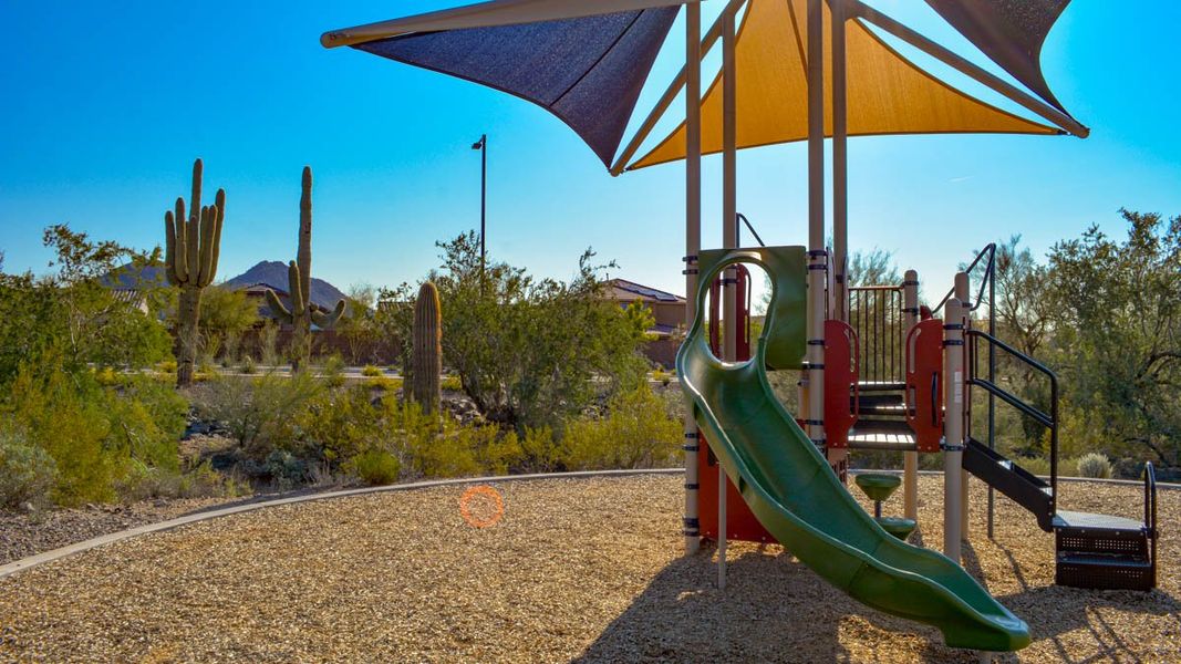 Community amenities associated with the Amherst by D.R. Horton in Aloravita, Peoria (Image 22).