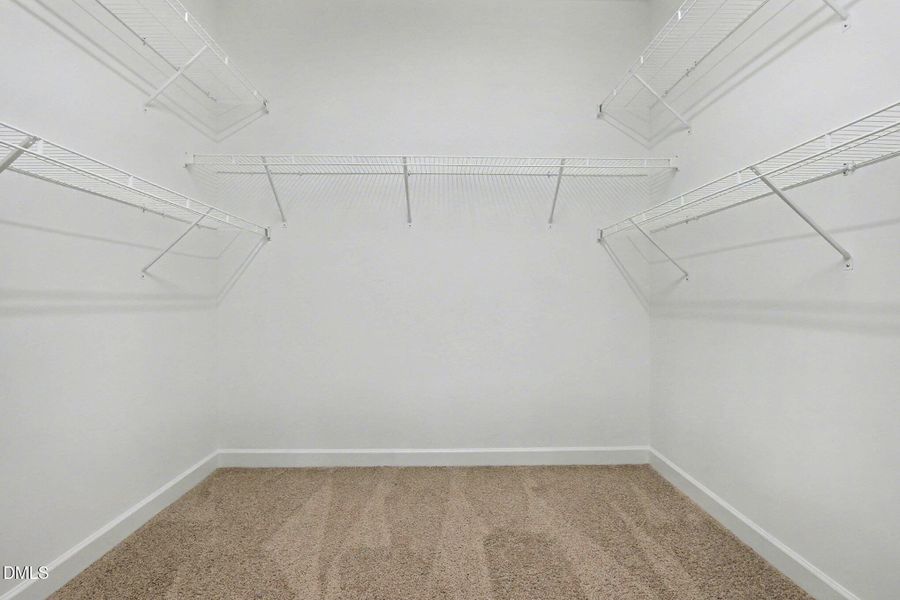 019_cj4a5020_960 019_cj4a5020_960