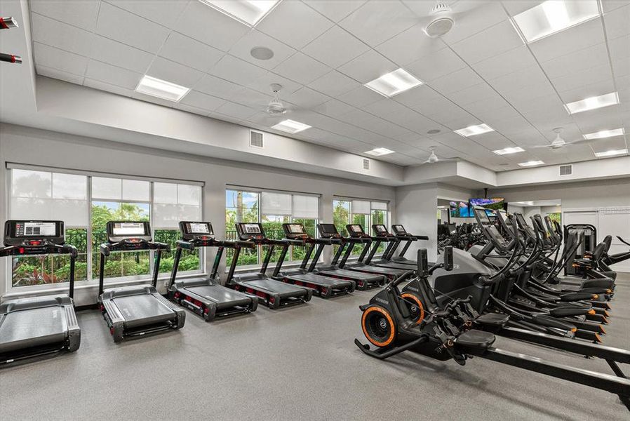 Community amenities in Star Farms at Lakewood Ranch, Bradenton (Image 34). Community amenities in Star Farms at Lakewood Ranch, Bradenton (Image 34).