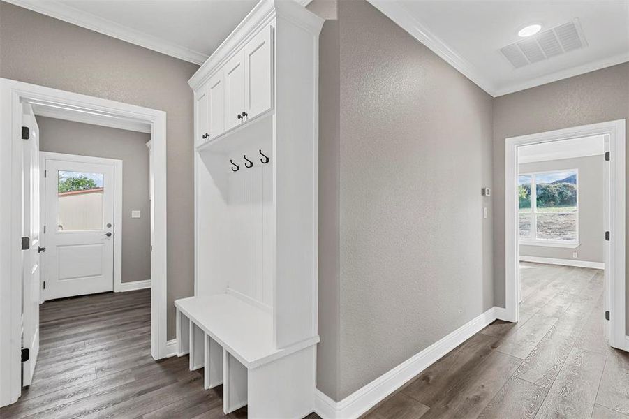 Mudroom featuring crown molding, a healthy amount of sunlight, and wood-type flooring