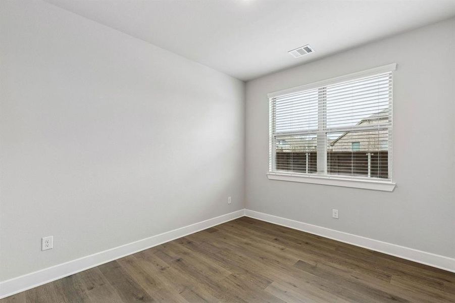 2101 Hazel Lily 2101 Hazel Lily