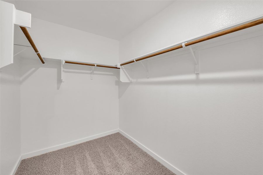 Walk in closet featuring carpet flooring Walk in closet featuring carpet flooring