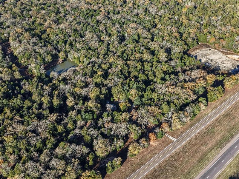 Natural landscape and outdoor views near  in Teague (Image 13).