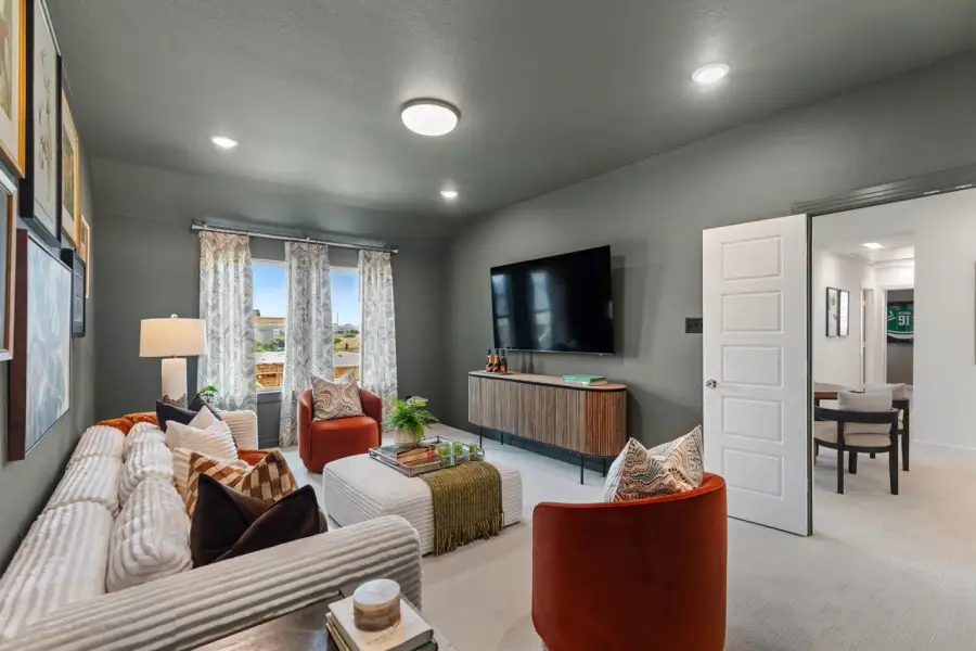 Representative Entertainment Room - some options shown Representative Entertainment Room - some options shown