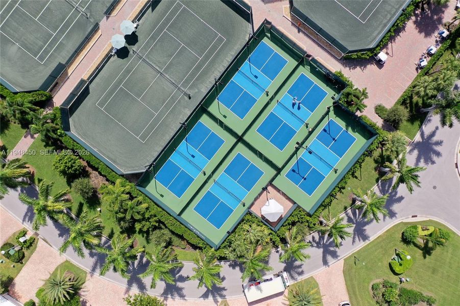 Club Pickleball