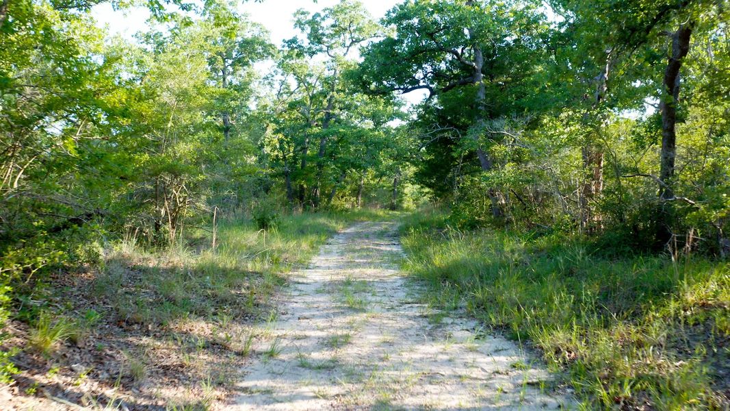 Natural landscape and outdoor views near Lakeside at Millican Reserve in College Station (Image 26). Natural landscape and outdoor views near Lakeside at Millican Reserve in College Station (Image 26).