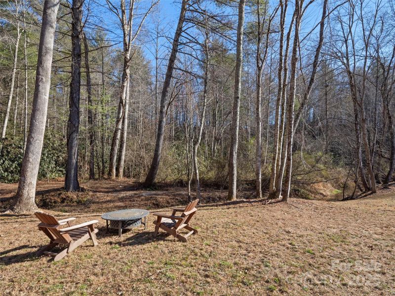 Natural landscape and outdoor views near  in Hendersonville (Image 26).