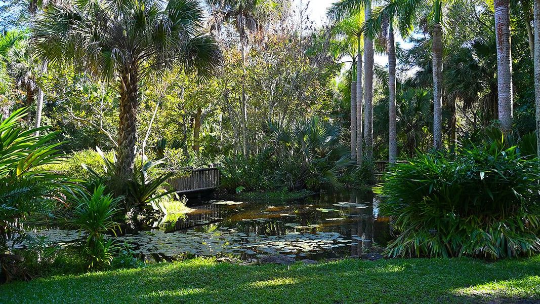 Natural landscape and outdoor views near Veranda Oaks in Port St. Lucie (Image 67).