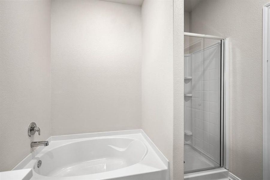 Master Bathroom with a luxurious soaking tub and shower.