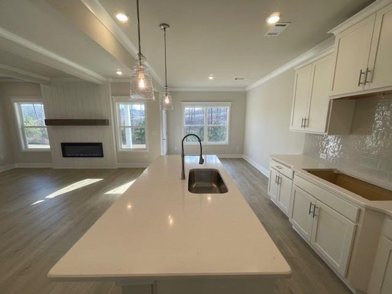 Furnished interior view inside a new home in Ponderosa Farms Estates, Gainesville (Image 8).