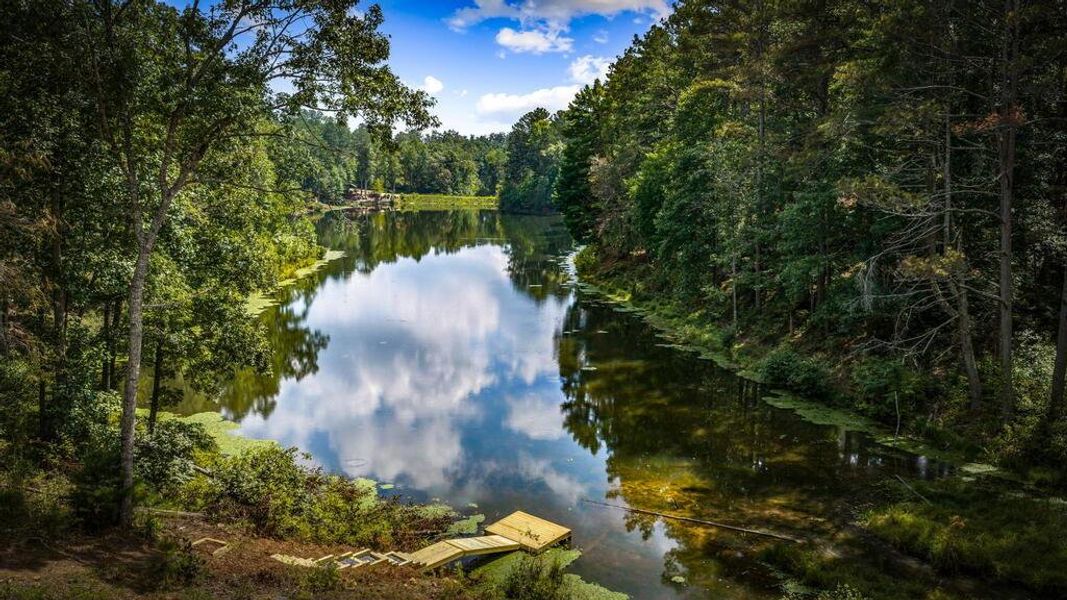 Natural landscape and outdoor views near  in Ellijay (Image 96).