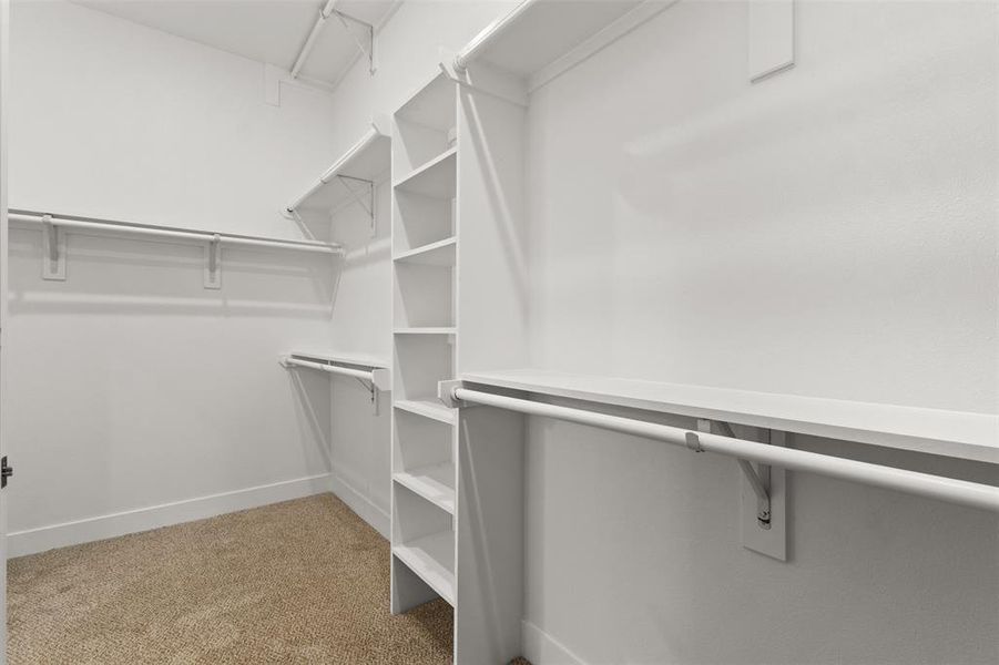 Walk-in closet featuring built-in shelving, hanging rods, and carpet flooring