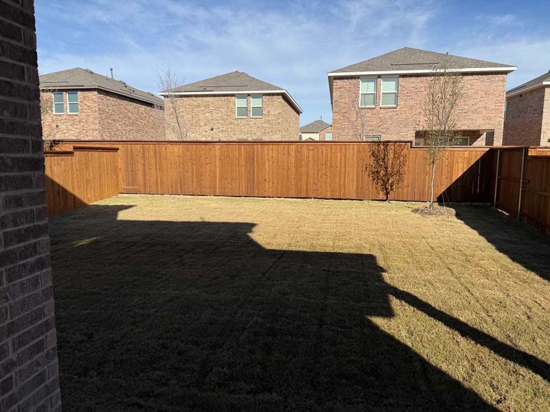 Backyard Construction Progress