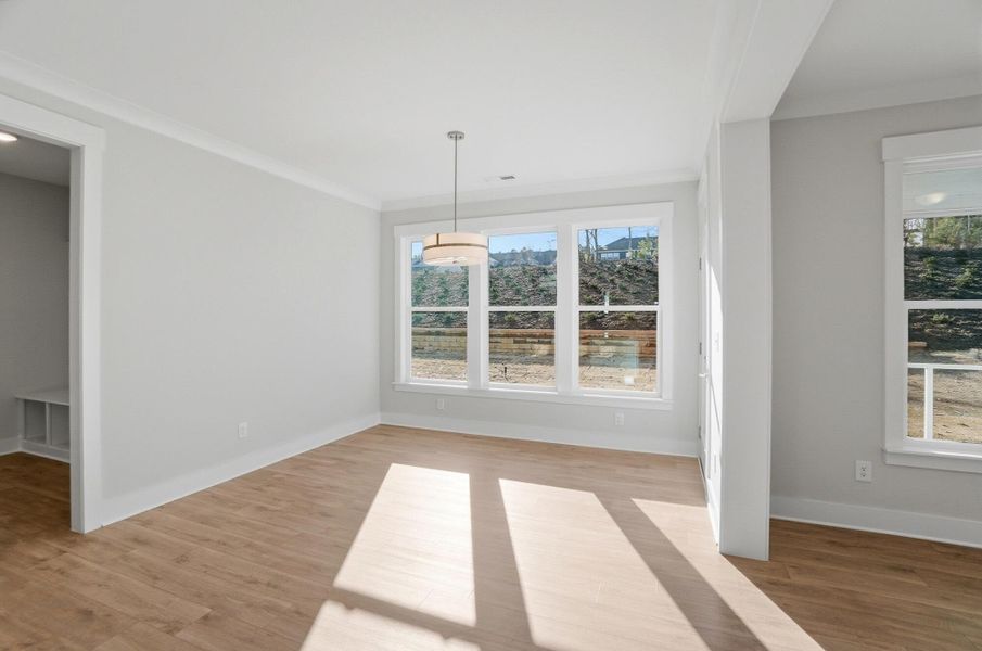 Spacious, unfurnished interior of a new home in Rone Creek, Waxhaw (Image 53).