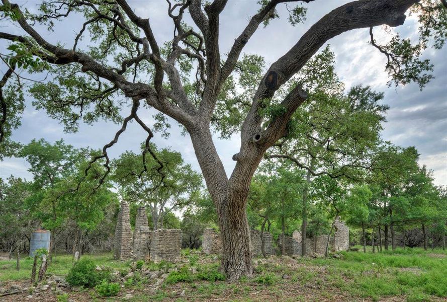 Natural landscape and outdoor views near in Austin (Image 8). Natural landscape and outdoor views near in Austin (Image 8).
