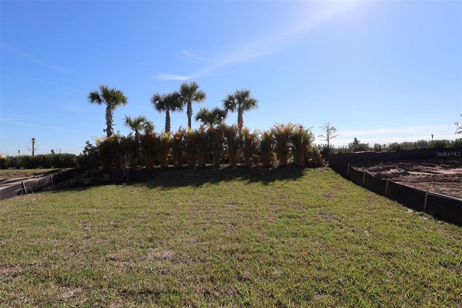 Natural landscape and outdoor views near Waterset Classic Series in Apollo Beach (Image 26). Natural landscape and outdoor views near Waterset Classic Series in Apollo Beach (Image 26).