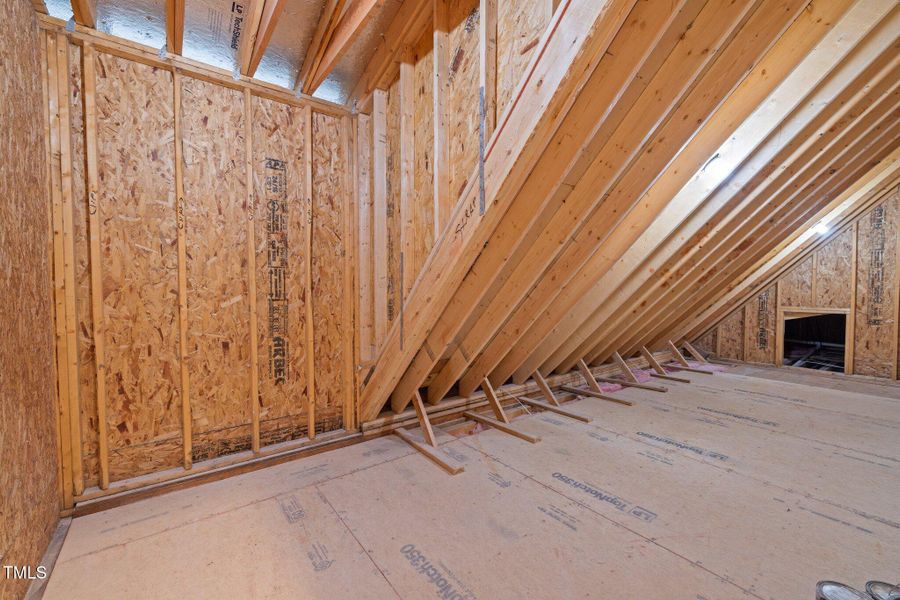 50-web-or-mls-5Z8A2908